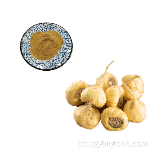 Heißverkauf 100% 10: 1 20: 1 Maca Root Extract